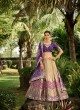 Pure Silk Lehenga Choli Wholesale Bulk Orders Direct from Factory  in Surat